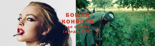 крисы Михайловка