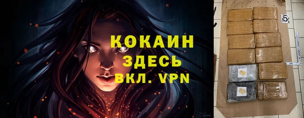 apvp Михайлов