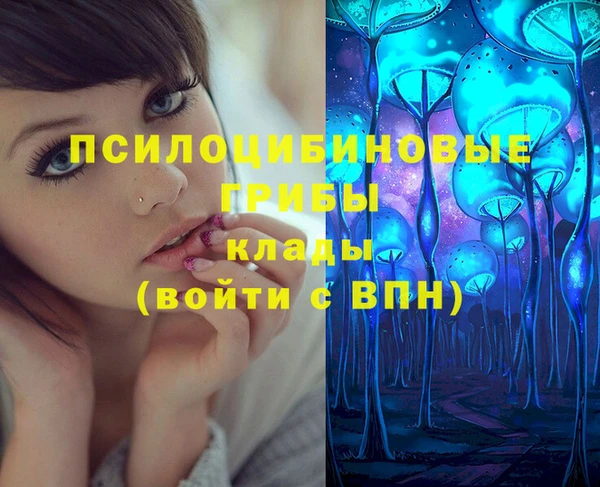 крисы Михайловка