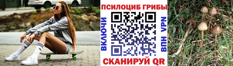 даркнет сайт  Райчихинск  hydra онион  Псилоцибиновые грибы прущие грибы 